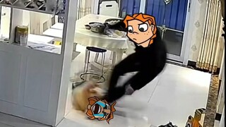 “ตระกูลเมทัล” แม่วีปกป้องหนักหน่อย