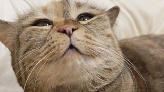 谢谢麻麻给我梳头