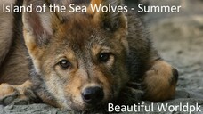 Island of the Sea Wolves 4K