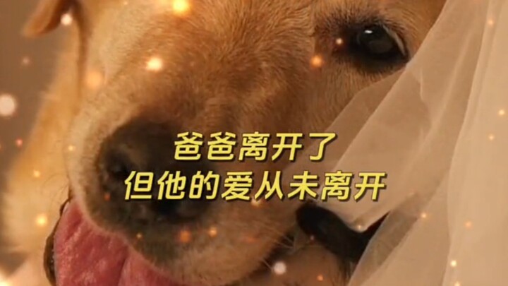 #Film Selamat Tinggal Li Kele, Saat Ini Dia Bukan Dirimu, Tapi Begitu Mirip Dengamu.