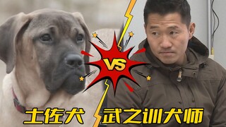 见到全球五大猛犬，训犬师一秒放弃训练，直言这次算了，下次一定