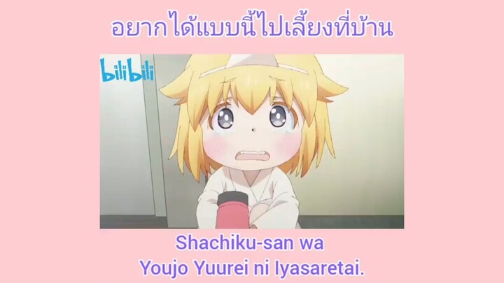 shachiku-san wa youjo yuurei ni lyasaretai อยาได้แบบนี้ไปเลิ้ยงบ้างอ่ะ