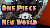 [One Piece] New World