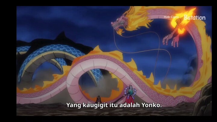 Momen momonosuke disadarkan oleh luffy