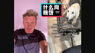 Gordon Ramsay blasts: "Authentic dog food" #YYY Subbing Team#
