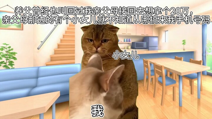 去了一场饭局，被毫无养育之恩的亲父母摁在地上打，求助万能b友