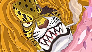 “每个人都有自己的出场机会”