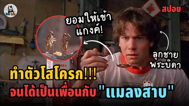 สปอยล์ อพาร์ทเมนท์ที่เต็มไปด้วยแมลงสาบ Joe's Apartment