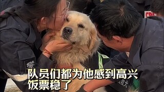 หนึ่งปีก่อน สุนัขจรจัดตัวหนึ่งตามทุกคนกลับไปยังฐาน 🐶 เฟืองแห่งโชคชะตาเริ่มหมุนแล้ว