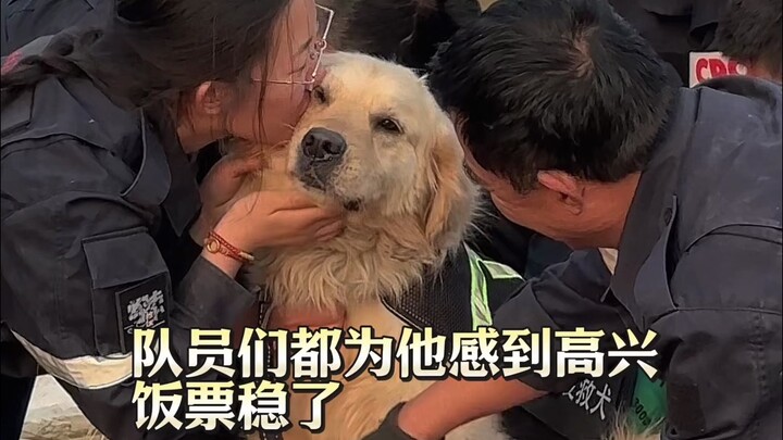 قبل عام، تبعت كلبة ضالة الجميع إلى القاعدة 🐶 وبدأت عجلة القدر بالدوران.