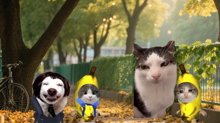 ทำไมเด็กที่มีพี่ชายถึงไม่ถูกกลั่นแกล้ง?