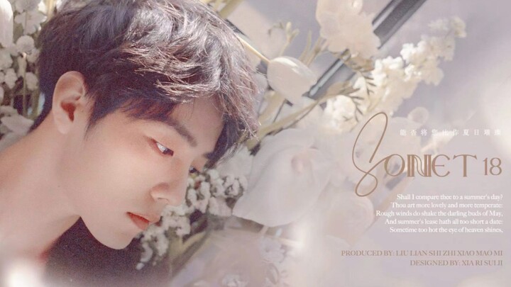 Can I compare you to the radiance of summer? Maybe this is the sense of story｜Shakespeare Sonnet 18 