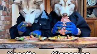 Such a niche dog meal preparation video... It's full of funny moments, and the expressions and gestu