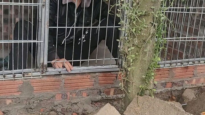 công chình nghìn tỷ