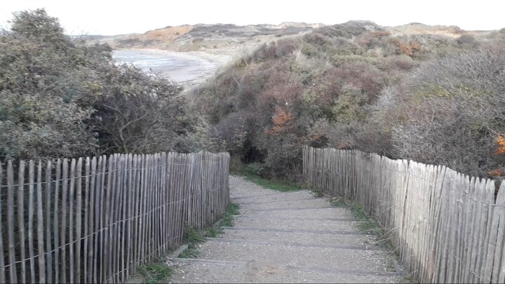 Walk on the Beach - North of FRANCE