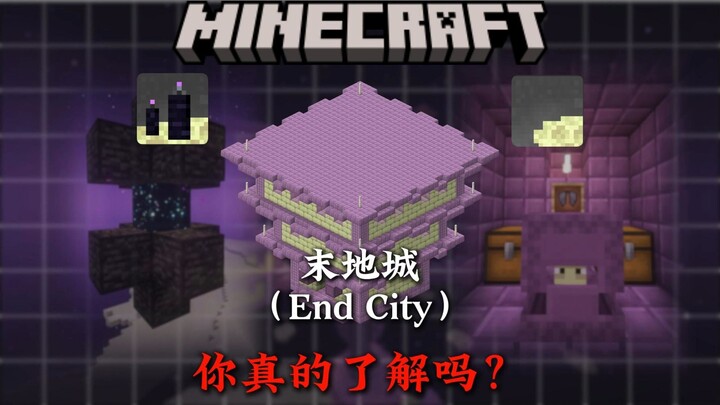 4 Minutes to Teach You Everything About Minecraft's End Cities!!