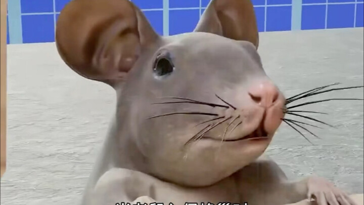 How terrifying is it when a mouse accidentally wanders into a beehive?