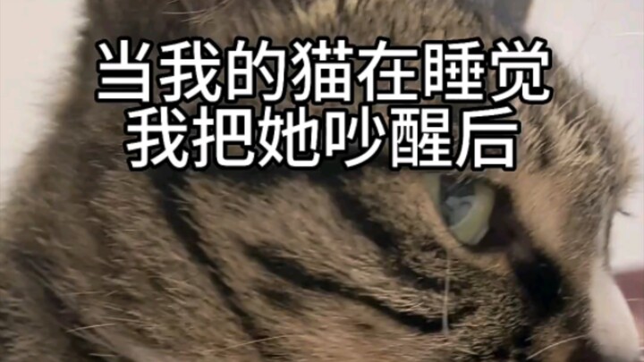 When my cat is sleeping, and I wake her up