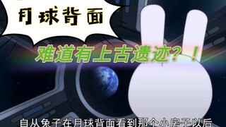 第283集丨兔子究竟在月球背面看到了什么？！