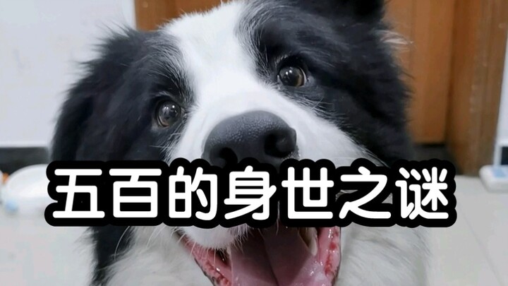 Sebenarnya ini nyambung sama apa ya...?