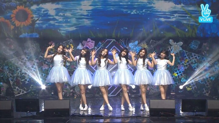 170801 GFRIEND "LOVE WHISPER" SHOWCASE