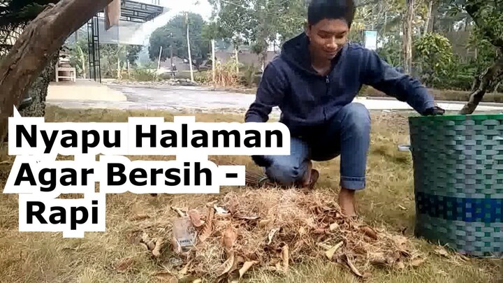 Praktik Merawat halaman rumah yang ada rumput rapinya (Studi kasus rumput vanili