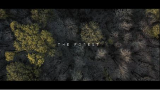 The Forest _ Cinematic Drone Footage