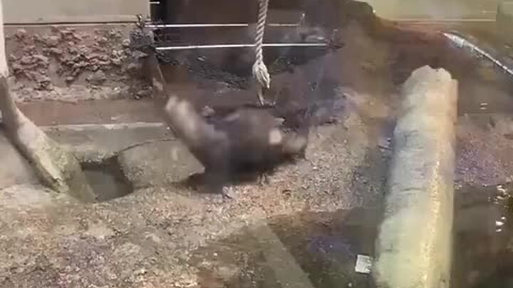 ما مدى ملل الحياة في حديقة الحيوانات