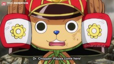 Poor Chopper... 😅