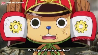 Poor Chopper... 😅