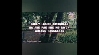 HIMIG NG DAMDAMIN KO LYRICS VIDEO || YER PANGAN ORIGINAL SONG