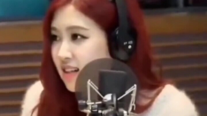 Blackpink's Complete Lack of Survival Instinct