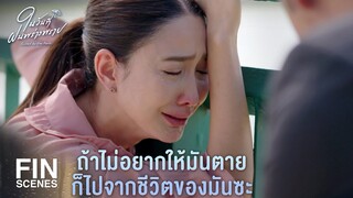 FIN | อย่าให้ฉันรู้ว่าเธออยู่กับมันอีก | ในวันที่ฝนพร่างพราย EP.11 | Ch3Thailand