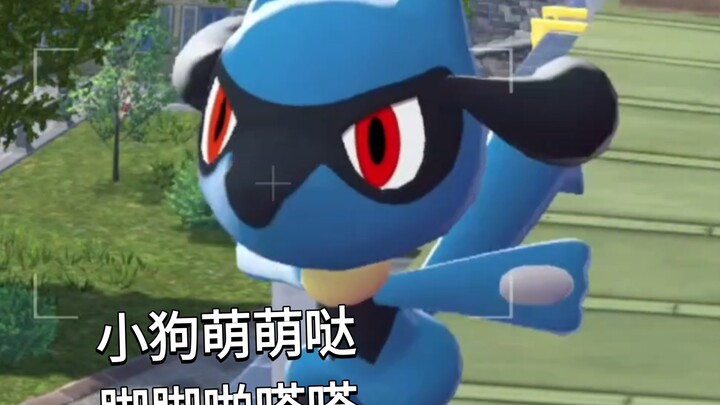 [ Pokémon za] Lucario running‑paw sound, one-minute pure‑sound version—this Wave‑Guide pup is so cut