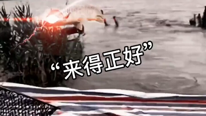 Siapa yang bisa menolak jaring ikan? Aaaaa!