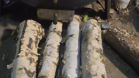 Resource in the Post-Apocalyptic Wasteland: Birch Wood