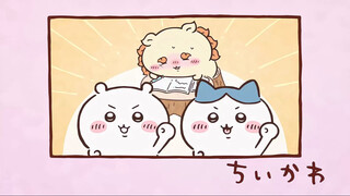 Chiikawa自制中字 第252话「狮萨的资格证④」