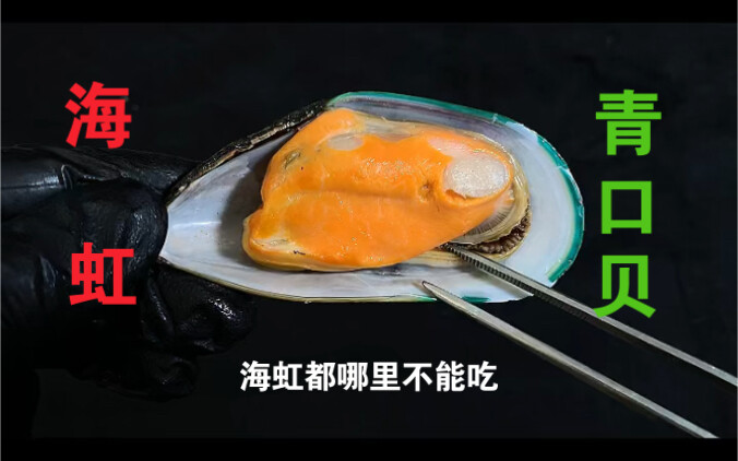 海虹都哪里不能吃，你们知道吗？