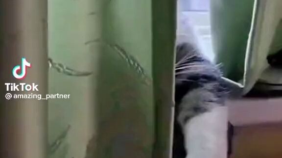 Hoàng thượng này chiến quá😂