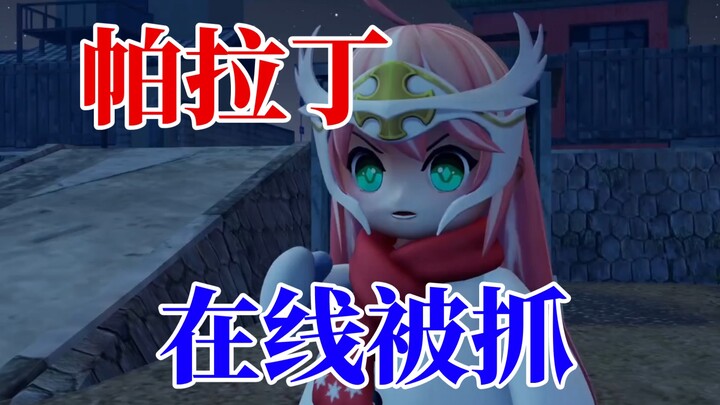 ！！帕拉丁被拐，需要我们井盖的帮助！！
