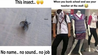 😂School Memes😂🤣เฮฮามีม🤣😆Relatable Memes😆😁Memes ที่มีแต่นักเรียนเท่านั้นที่จะเข้าใจ😄405