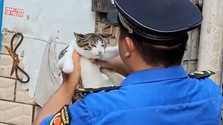 Pak Polisi: Kalau kelihatan seimut ini, apa lagi kalau bukan pelanggaran? Bawa dia pergi!