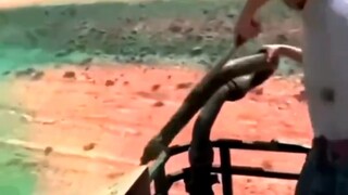 Environmental Modification Gun