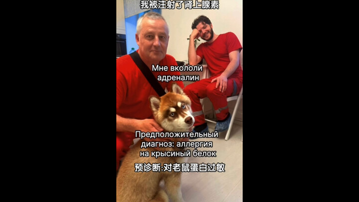 Not recommended for people with neurasthenia.