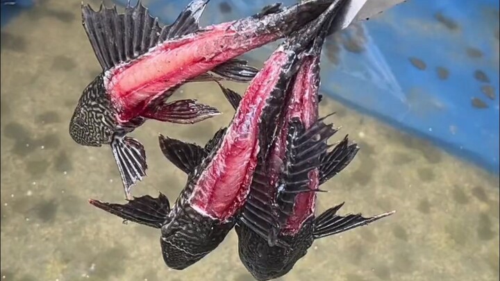 Quản gia: Cách làm này là quỷ Diêm Vương sống à?