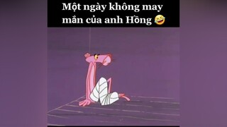 fypシ thepinkpanther báohồng phimhoathinh