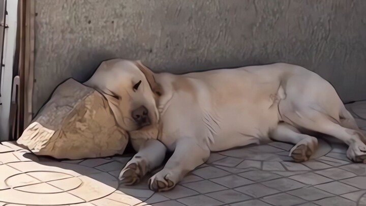 "It's good to be young, you can fall asleep right away!"