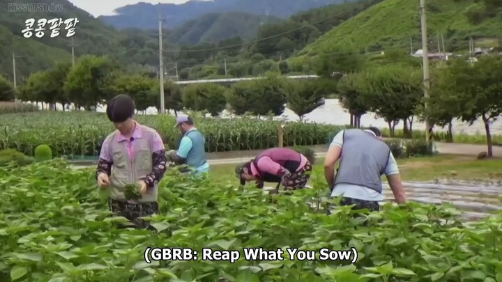 GBRB : Reap  what you sow Ep.8 Eng Sub