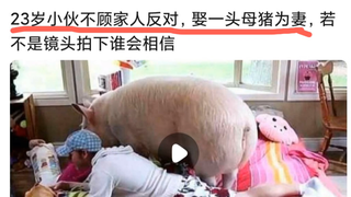 شاب يبلغ من العمر 23 عامًا تزوج من خنزيرة رغم معارضة أسرته