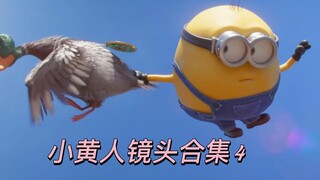 小黄人合集4：奥豆很傻但是很可爱